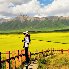 小交通模块 