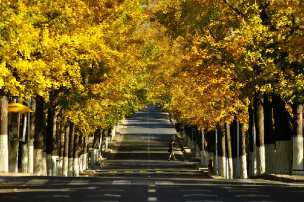 六月去江西当月天气_六月去江西穿衣指南_六