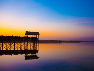 过年去额济纳旗胡杨林旅游团_额济纳旗胡杨林七日游_几月份去额济纳旗胡杨林旅游好