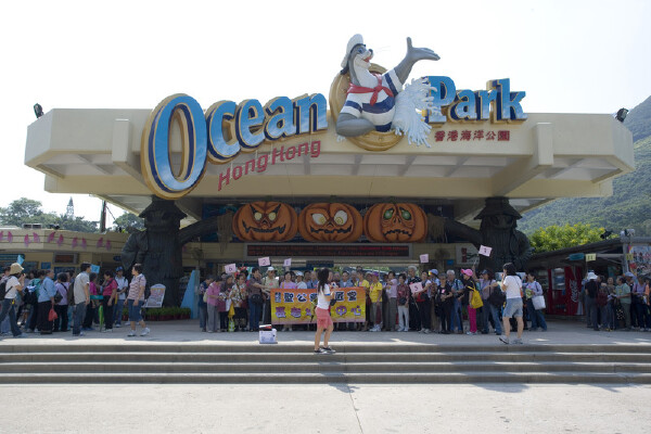 香港旅游最好_香港什么时候好玩_香港特色景