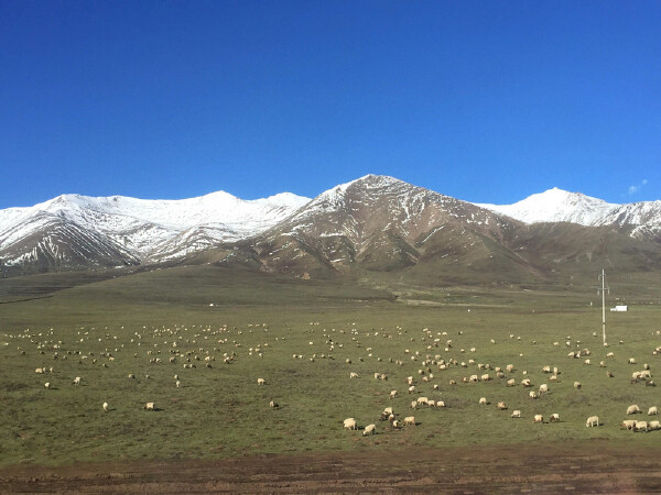 一月去青海旅游必备物品_一月去青海旅游景点