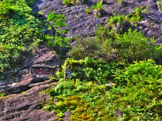 福建武夷山游價(jià)格_福建武夷山旅游價(jià)格多少_香港旅游團(tuán)福建武夷山