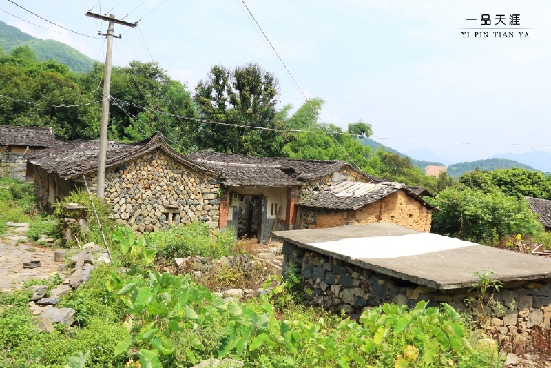 安溪人口大村_大美安溪全景图片