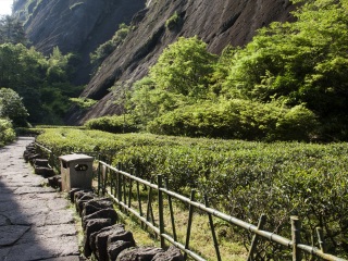 福建武夷山游價(jià)格_福建武夷山旅游價(jià)格多少_香港旅游團(tuán)福建武夷山