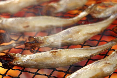 food_picture