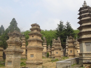 河南少林寺跟團游與自由行_河南少林寺游跟團多少錢_河南少林寺私人定制旅游