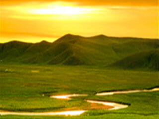 旅游團(tuán)內(nèi)蒙古呼倫貝爾_怎么去內(nèi)蒙古呼倫貝爾旅游_組團(tuán)去內(nèi)蒙古呼倫貝爾