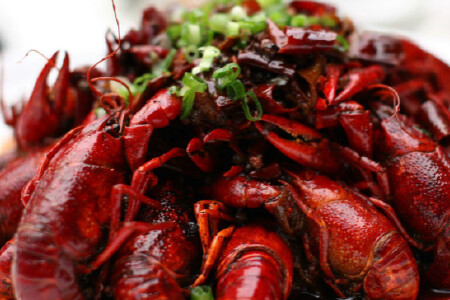 food_picture