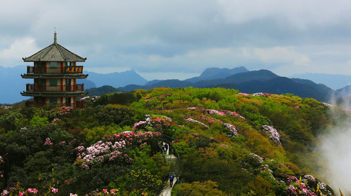 五一节从贵州自驾游去金山,有什么好玩的地方推荐吗