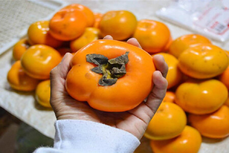 food_picture