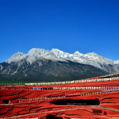 景点模块 