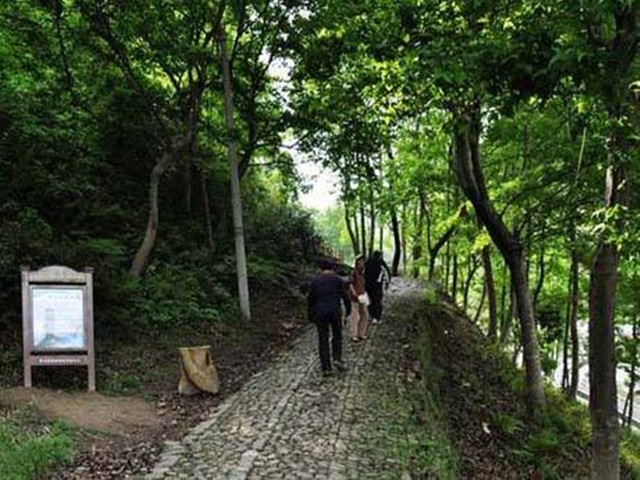  浙江2日游>最美风车路,穿越菩提岭,游芝林小九寨,刷爆朋友圈, 宿国际