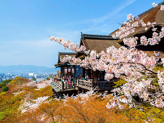 日本游報(bào)價(jià)_日本旅游花多少錢_日本自由行組團(tuán)