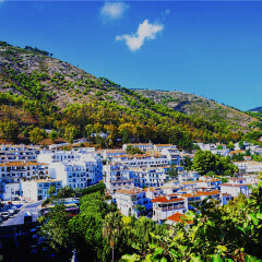 景点模块 
