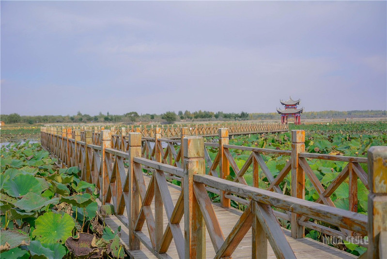 腾格里沙漠湿地·金沙岛旅游区