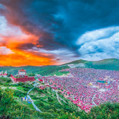 活动模块 