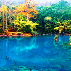 景点模块 