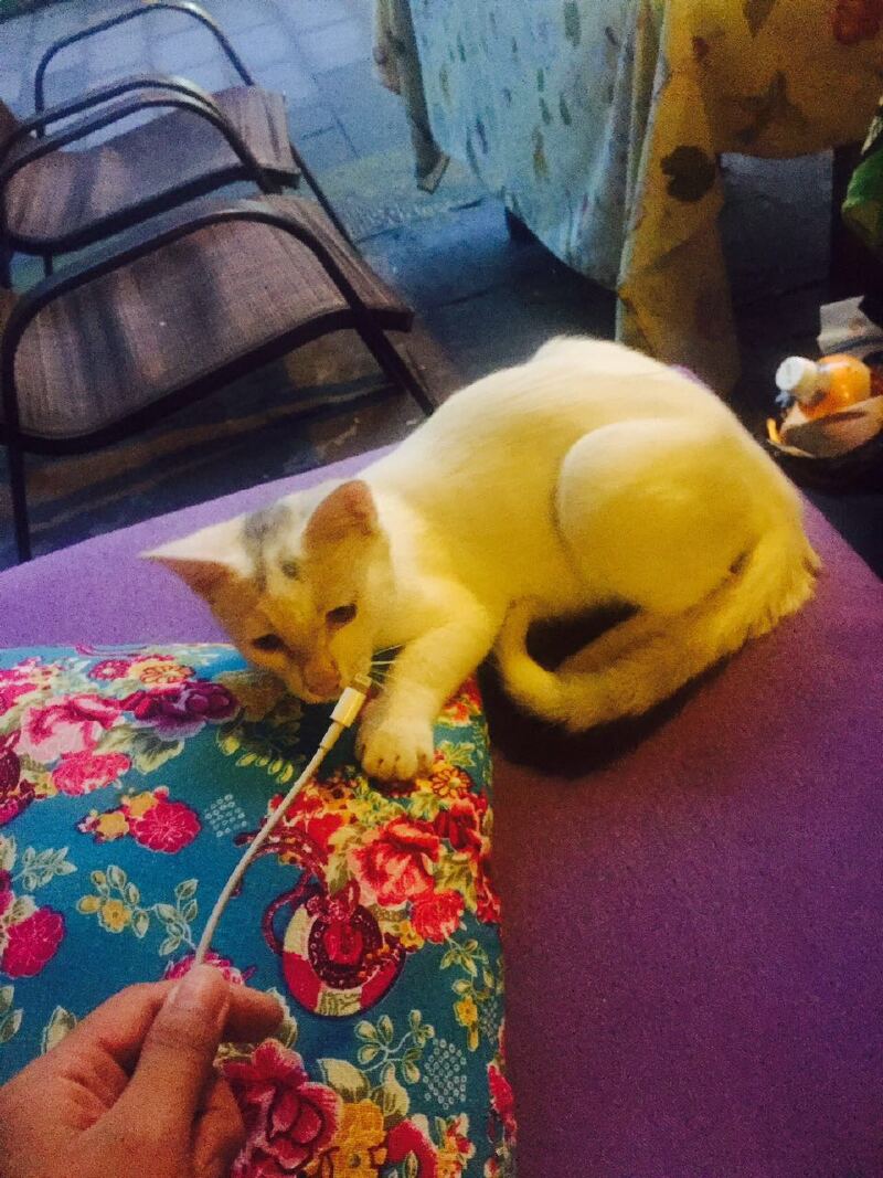 寻找蜜恋的自由--成都周边5天4夜自驾游