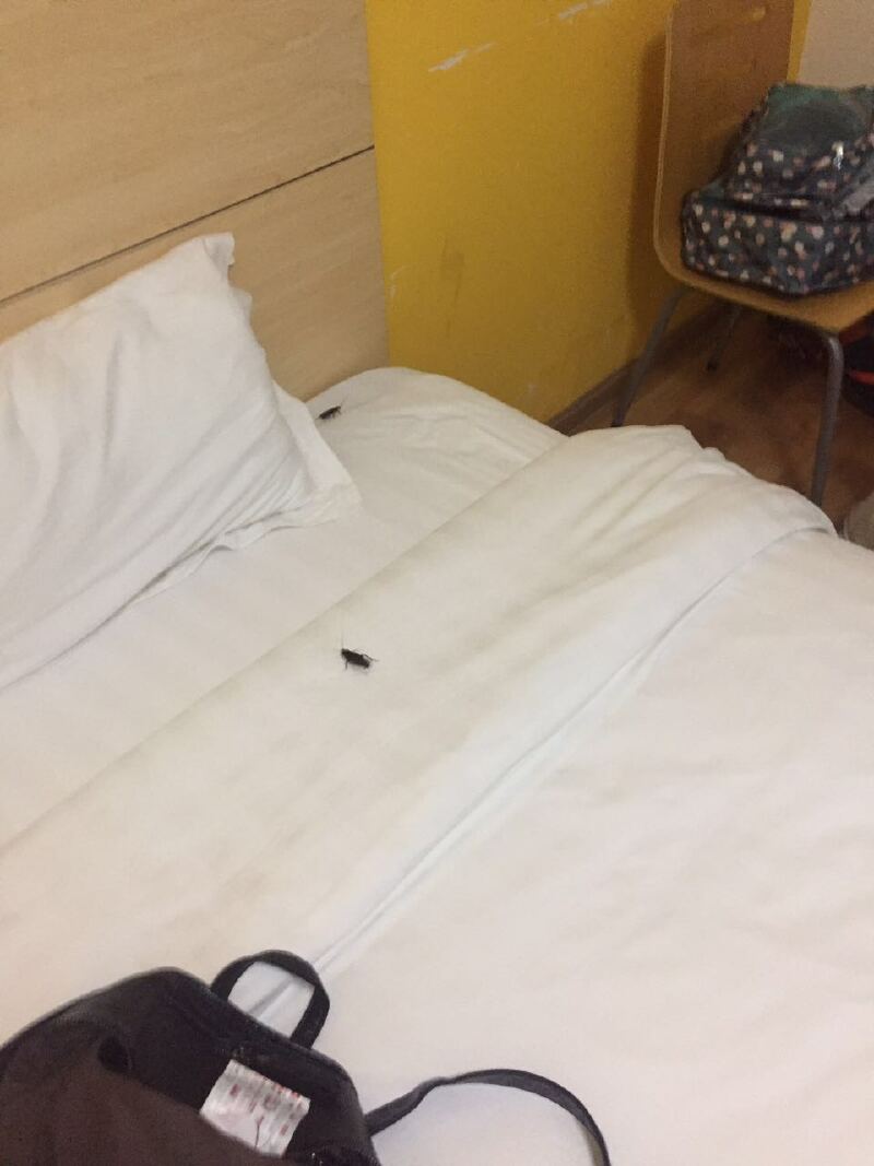 寻找蜜恋的自由--成都周边5天4夜自驾游