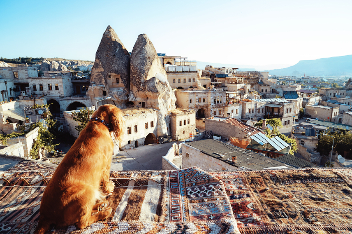 土耳其,还好没放弃,旅行要趁早!