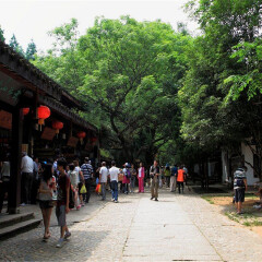 景点模块 