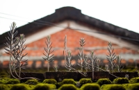 参观彭德怀故居