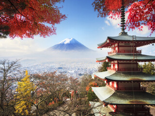 十一日本游_跟團(tuán)日本旅游價(jià)格表_去日本旅游多少錢