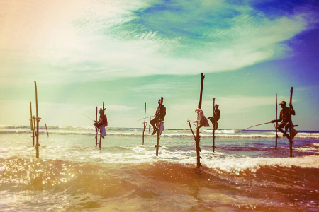 <斯里兰卡5晚7日游>南京往返，A线0自费，5星酒店，打卡网红海上小火车，狮子岩，佛牙寺，海龟保育中心，红树林漂流