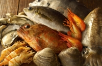 去南澳海上渔村吃海鲜