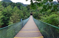 悬索桥上走一回