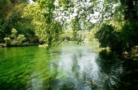 森林公园里洗洗肺