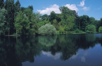 城河沿线走走停停