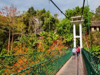 西双版纳布吉旅游_西双版纳苏梅岛_西双版纳随团旅游