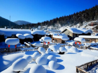 哈尔滨生活旅游_哈尔滨六日旅游_组团到哈尔滨旅游