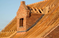 参观女书文化村