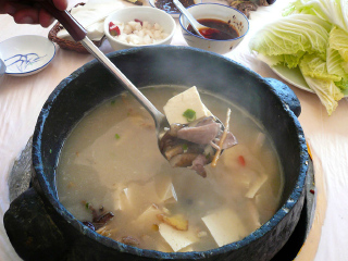 西藏跟團還是自由行_到西藏旅游報團價格_西藏旅游花費一般多少