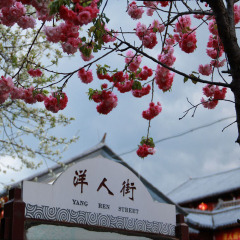 景点模块 