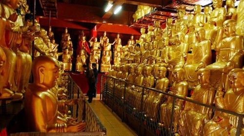  九华山-全景观光祈福-2日游>当地参团,池州站可免费接送,含门票景交