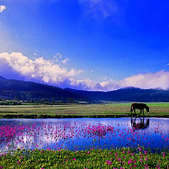 景点模块 