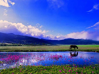 云南麗江旅游要多少錢2021_到云南麗江旅游_暑假云南麗江游價格