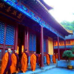 景点模块 