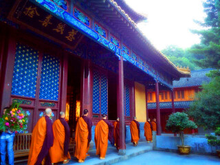 寧波普陀山旅行團(tuán)_2021年寧波普陀山旅游團(tuán)報(bào)價(jià)_寧波普陀山自由行旅游團(tuán)