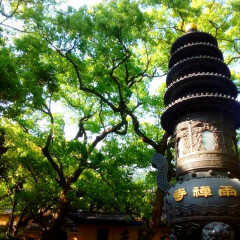 景点模块 