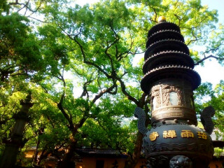 寧波普陀山旅行團(tuán)_2021年寧波普陀山旅游團(tuán)報(bào)價(jià)_寧波普陀山自由行旅游團(tuán)