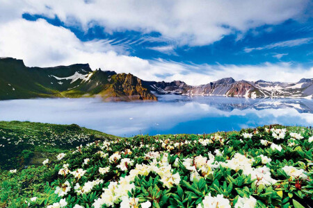 <沈阳+敦化+长白山+镜泊湖+五大连池+漠河+北极村+哈尔滨4卧1动13日游>浪漫夕阳红，饱览北国风光