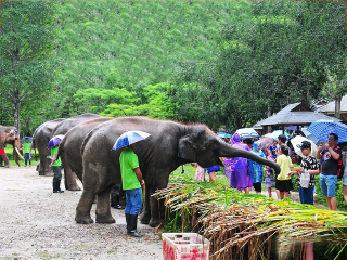 香港旅游團(tuán)云南麗江_云南麗江組團(tuán)旅游_以往國慶云南麗江游價(jià)格