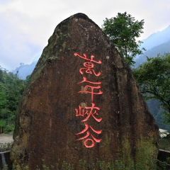 云林