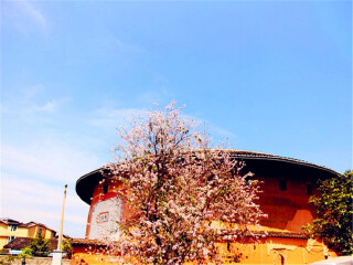 東莞到廈門鼓浪嶼游_到廈門鼓浪嶼旅游_廈門鼓浪嶼游價(jià)格