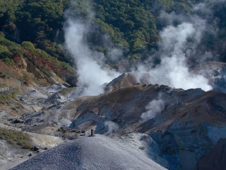 日本自由行旅游團(tuán)_日本旅游大約多少錢_日本10日游路線