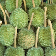 乍都乍周末市场